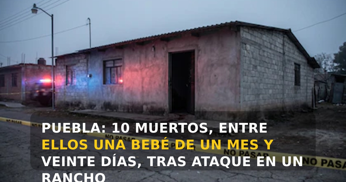 Puebla: 10 muertos, entre ellos una bebé de un mes y veinte días, tras ataque en un rancho