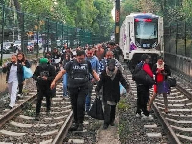 CDMX: AJOLOTE NO PUEDE MOVERSE SIN ELECTRICIDAD
