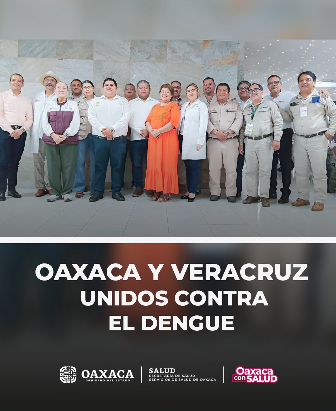Oaxaca y Veracruz coordinan esfuerzos para prevenir y controlar el dengue en zonas limítrofes