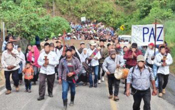 Colectivo cuestiona ley indígena y su consulta